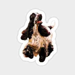 Cocker Spaniel on a merry dog walk Sticker